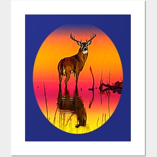 Buck at dawn Posters and Art